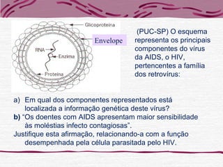 (PUC-SP) O esquema
representa os principais
componentes do vírus
da AIDS, o HIV,
pertencentes a família
dos retrovírus:
Envelope
a) Em qual dos componentes representados está
localizada a informação genética deste vírus?
b) “Os doentes com AIDS apresentam maior sensibilidade
às moléstias infecto contagiosas”.
Justifique esta afirmação, relacionando-a com a função
desempenhada pela célula parasitada pelo HIV.
 