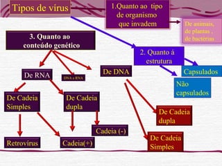Tipos de vírus 1.Quanto ao tipo
de organismo
que invadem
2. Quanto á
estrutura
Capsulados
Não
capsulados
De animais,
de plantas ,
de bactérias3. Quanto ao
conteúdo genético
De DNA
De Cadeia
Simples
De Cadeia
dupla
De RNA
Cadeia(+)
Cadeia (-)
Retrovírus
De Cadeia
dupla
De Cadeia
Simples
DNA e RNA
 