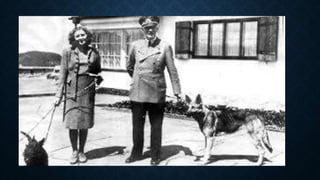 Hitler e os Animais - Prof. Altair Aguilar