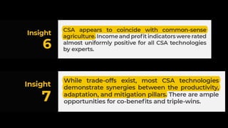 CSA Investment Advantage: Synthesis Paper Presentation