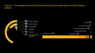 CSA Investment Advantage: Synthesis Paper Presentation
