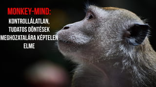 2, szokásformálás keretrendszer