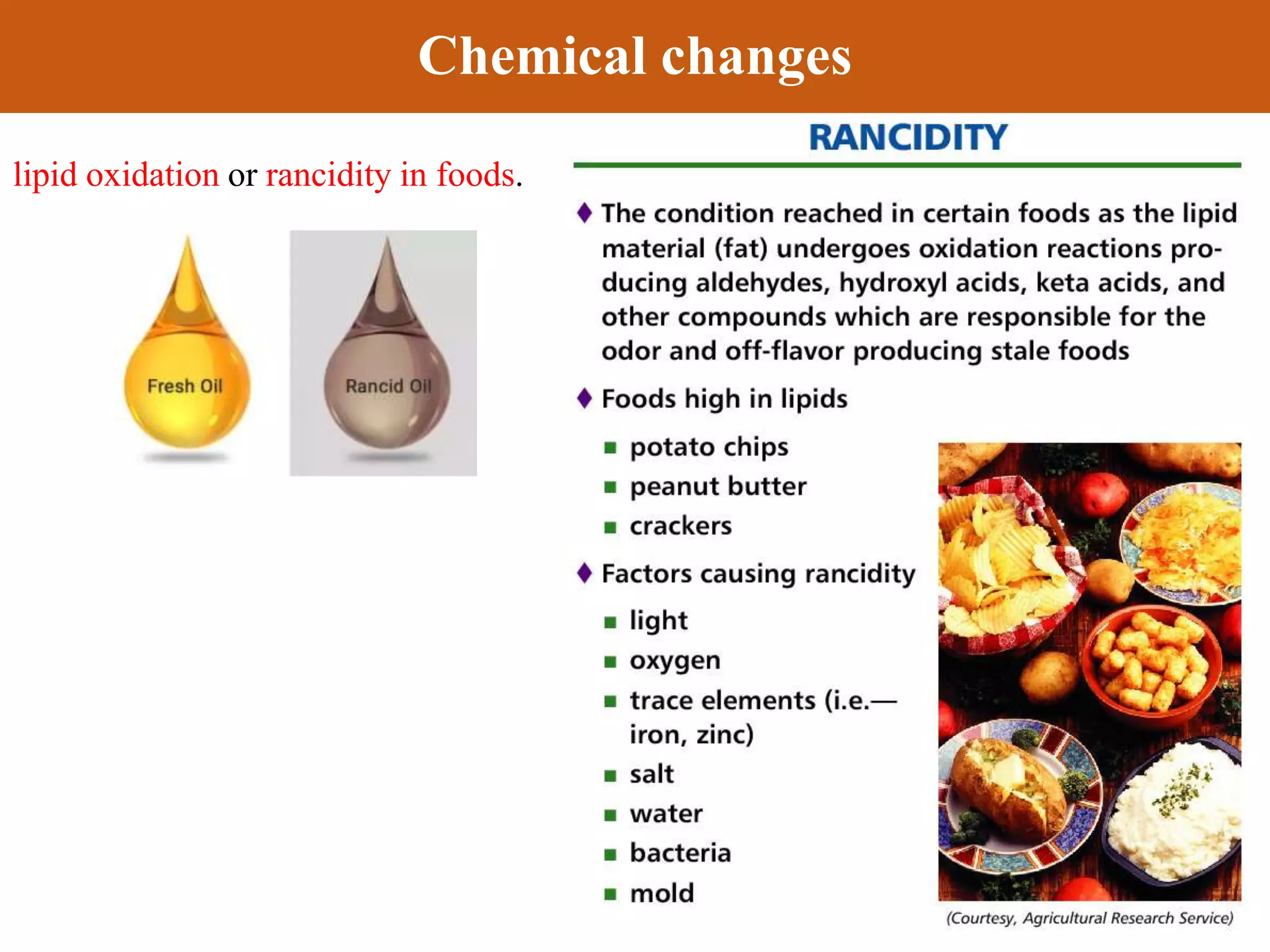 2T. AGM Physical and chemical changes during food spoilage.pptx