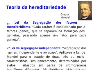 Teoria da hereditariedade
1a Lei da Segregação dos fatores
ou
monoibridismo. “Cada caráter é condicionado por 2
fatores (genes), que se separam na formação dos
gametas, passando apenas um fator para cada
gameta”.
2ª Lei da segregação independente. “Segregação dos
genes, independente e ao acaso”. Aplica-se a Lei de
Mendel para o estudo de duas, três ou mais
características, simultaneamente, determinadas por
alelos situados em pares de cromossomos
Gregor
Mendel
 