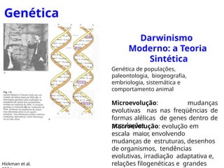 Genética
Moderna
Darwinismo
Moderno: a Teoria
Sintética
Genética de populações,
paleontologia, biogeografia,
embriologia, sistemática e
comportamento animal
Microevolução: mudanças
evolutivas nas nas freqüências de
formas alélicas de genes dentro de
populações
Macroevolução: evolução em
escala maior, envolvendo
mudanças de estruturas, desenhos
de organismos, tendências
evolutivas, irradiação adaptativa e,
relações filogenéticas e grandes
Hickman et al.
 
