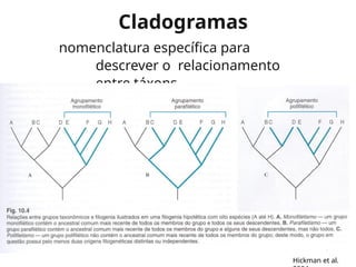 Cladogramas
nomenclatura específica para
descrever o relacionamento
entre táxons
Hickman et al.
 
