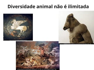 Diversidade animal não é ilimitada
 