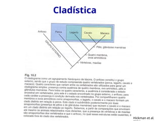Cladística
Hickman et al.
 