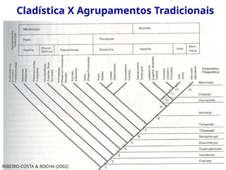 Cladística X Agrupamentos Tradicionais
RIBEIRO-COSTA & ROCHA (2002)
 