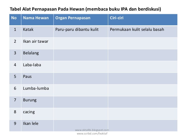  tabel  alat pernapasan pada hewan 