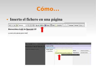 Cómo...
   Inserto el fichero en una página
 