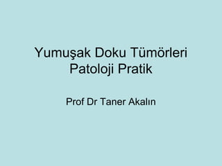 Yumuşak Doku Tümörleri
Patoloji Pratik
Prof Dr Taner Akalın
 