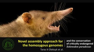 Novel assembly approach for
the homozygous genomes
and the conservation
of critically endangered
Solenodon paradoxus
Taras K Oleksyk et al.
 
