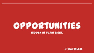 Opportunities
   Hidden in plain sight.




                            By   Eila Zalles
 