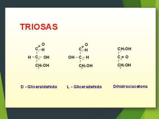 bioquimica Carbohidratos 