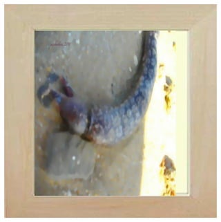 TARIFA SPAIN タリファ、スペイン