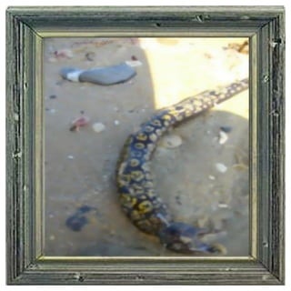 TARIFA SPAIN タリファ、スペイン