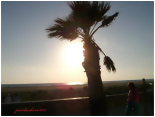 TARIFA SPAIN タリファ、スペイン