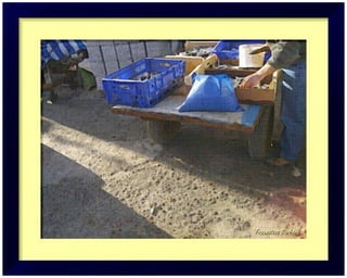 TARIFA SPAIN タリファ、スペイン