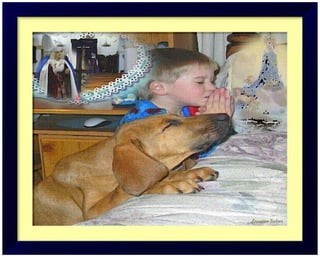 TARIFA SPAIN タリファ、スペイン