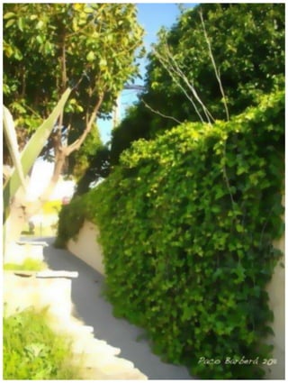 TARIFA SPAIN タリファ、スペイン