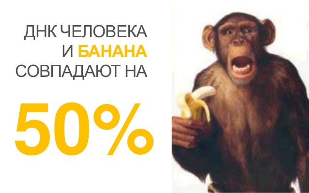 Starlightmedia_20 Сентября_Роль Телевидения В Маркетинге 21 Века_Паве…