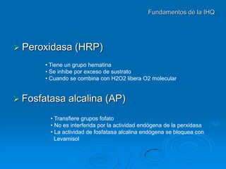 2 T cnicas De Inmunohistoqu micas PDF 2-t-cnicas-de-inmunohistoqu-micas-pdf