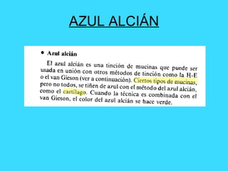 AZUL ALCIÁN 