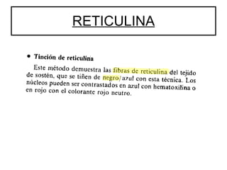 RETICULINA 