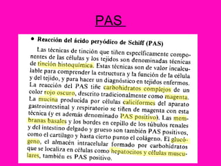 PAS  