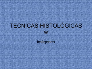 TECNICAS HISTOLÓGICAS w imágenes 