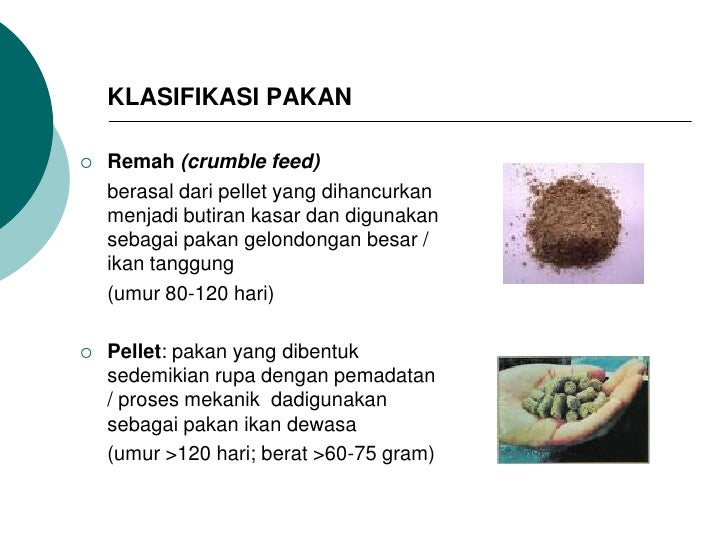 bahan baku pakan