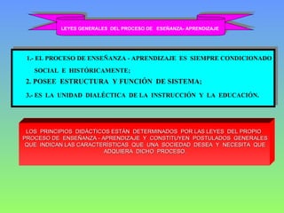 LEYES GENERALES  DEL PROCESO DE  ESEÑANZA- APRENDIZAJE   1.- EL PROCESO DE ENSEÑANZA - APRENDIZAJE  ES  SIEMPRE CONDICIONADO SOCIAL  E  HISTÓRICAMENTE;   2. POSEE  ESTRUCTURA  Y FUNCIÓN  DE SISTEMA; 3.- ES  LA  UNIDAD  DIALÉCTICA  DE LA  INSTRUCCIÓN  Y  LA  EDUCACIÓN. LOS  PRINCIPIOS  DIDÁCTICOS ESTÁN  DETERMINADOS  POR LAS LEYES  DEL PROPIO  PROCESO DE  ENSEÑANZA - APRENDIZAJE  Y  CONSTITUYEN  POSTULADOS  GENERALES QUE  INDICAN LAS CARACTERÍSTICAS  QUE  UNA  SOCIEDAD  DESEA  Y  NECESITA  QUE ADQUIERA  DICHO  PROCESO. 