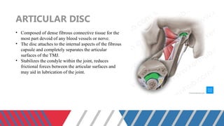 TemporoMandibular Joint anatomy and physiology | PPTX