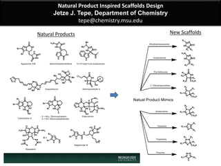 Natural Product Inspired Scaffolds Design
Jetze J. Tepe, Department of Chemistry
tepe@chemistry.msu.edu
Natural Products New Scaffolds
 