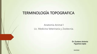 TERMINOLOGÍA TOPOGRAFICA
Anatomía Animal I
Lic. Medicina Veterinaria y Zootecnia.
6/4/2024
Dr. Gustavo Antonio
Figueroa López
 