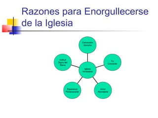 Razones para Enorgullecerse
de la Iglesia
Actitud
Digna del
Reino
Esperanza
Perseverante
Amor
Abundante
Fe
Creciente
Conversión
Genuina
Iglesia
Verdadera
 
