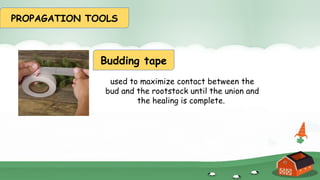 2T Grade 4 Artificial Vegetative Propagation, Tools and Sanitation.pptx