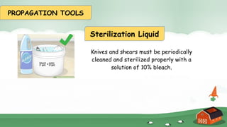 2T Grade 4 Artificial Vegetative Propagation, Tools and Sanitation.pptx