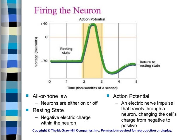 all or none principle action potential all or none principle action potential