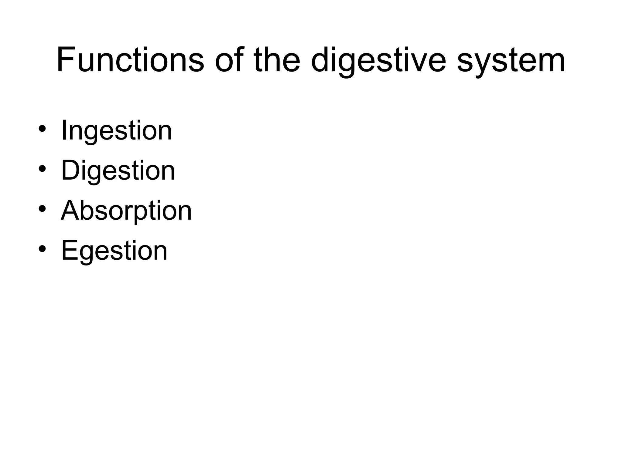 Functions of the digestive system
• Ingestion
• Digestion
• Absorption
• Egestion
 
