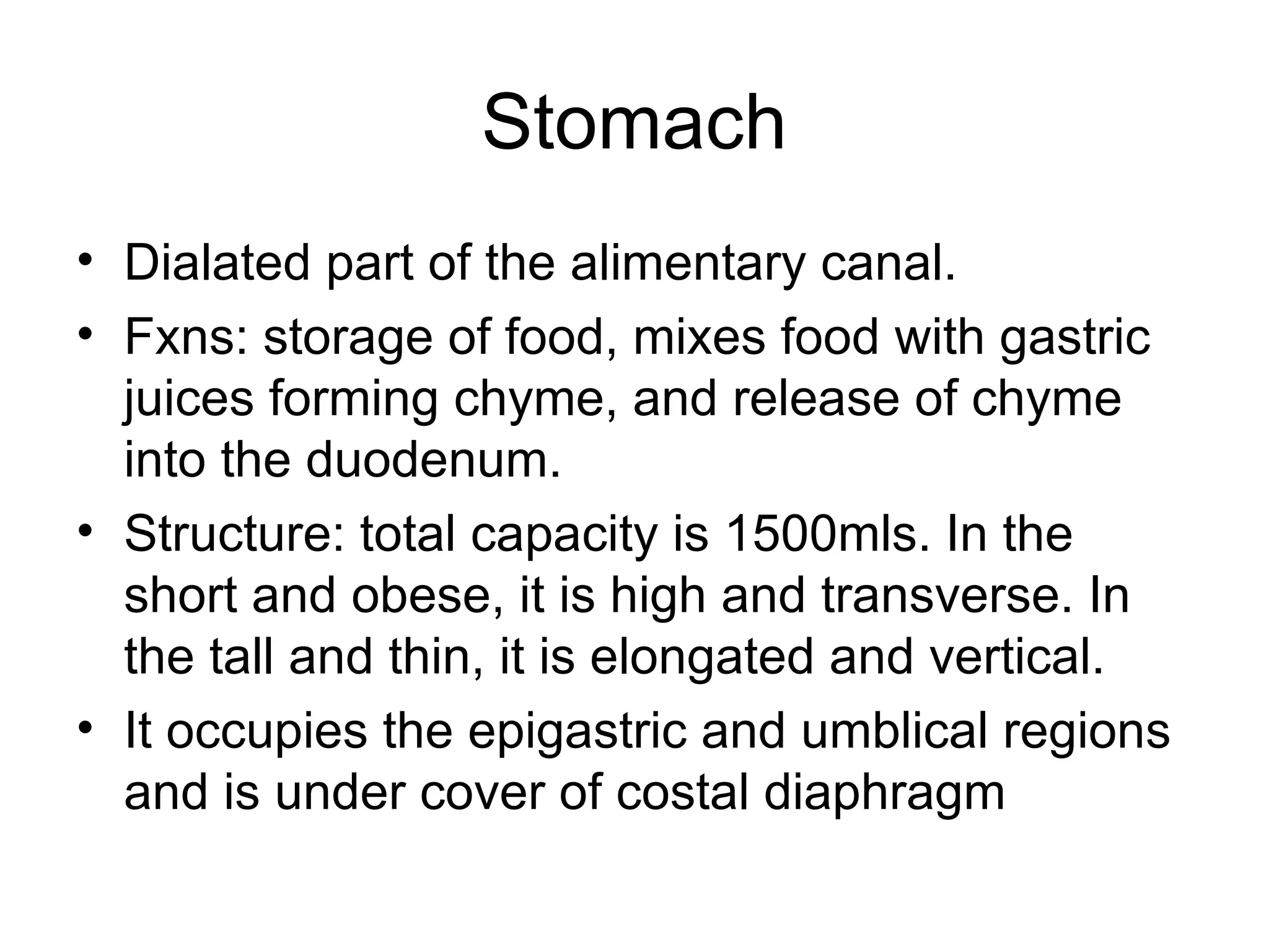 Stomach
• Dialated part of the alimentary canal.
• Fxns: storage of food, mixes food with gastric
juices forming chyme, and release of chyme
into the duodenum.
• Structure: total capacity is 1500mls. In the
short and obese, it is high and transverse. In
the tall and thin, it is elongated and vertical.
• It occupies the epigastric and umblical regions
and is under cover of costal diaphragm
 