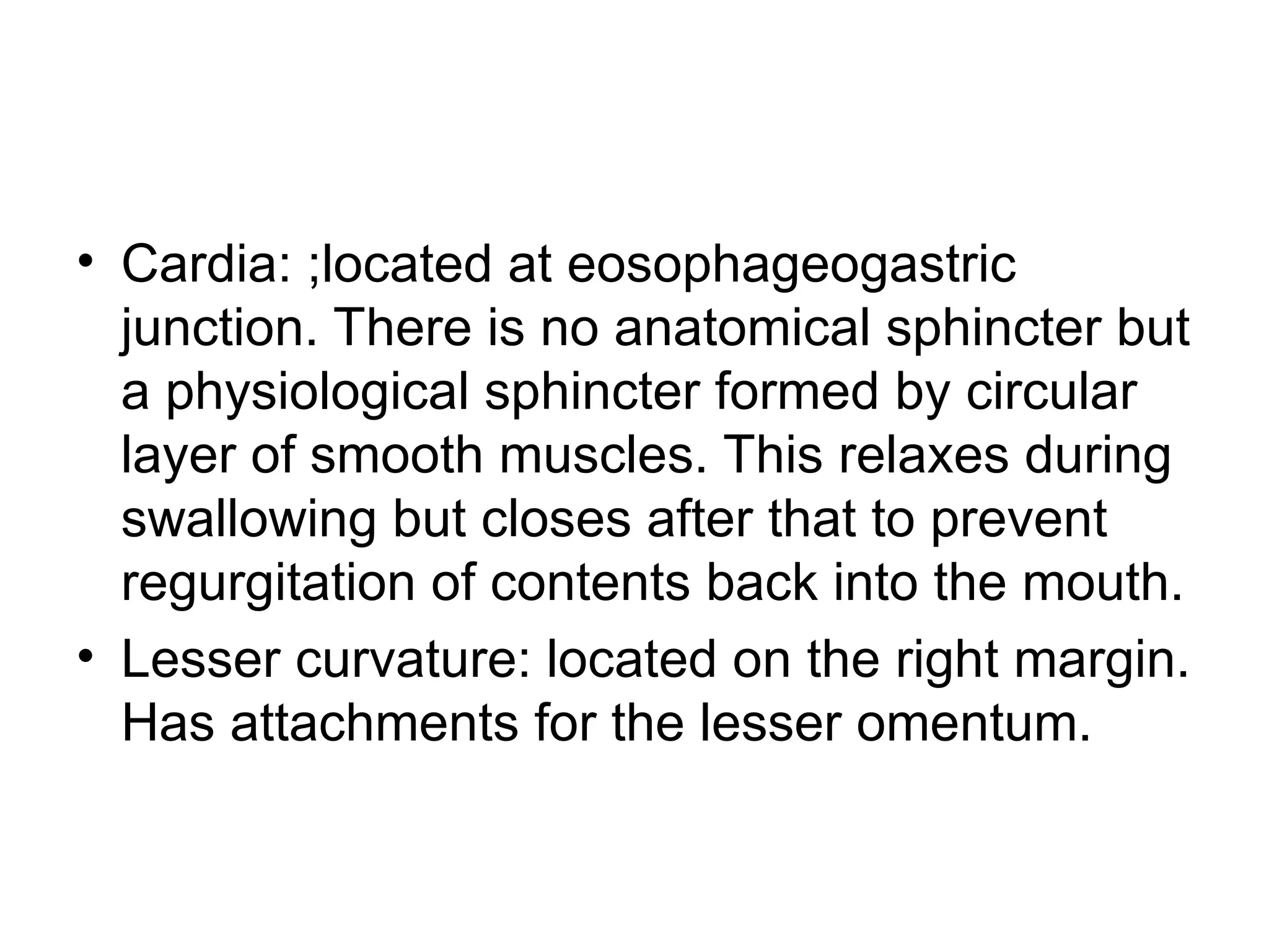 • Cardia: ;located at eosophageogastric
junction. There is no anatomical sphincter but
a physiological sphincter formed by circular
layer of smooth muscles. This relaxes during
swallowing but closes after that to prevent
regurgitation of contents back into the mouth.
• Lesser curvature: located on the right margin.
Has attachments for the lesser omentum.
 