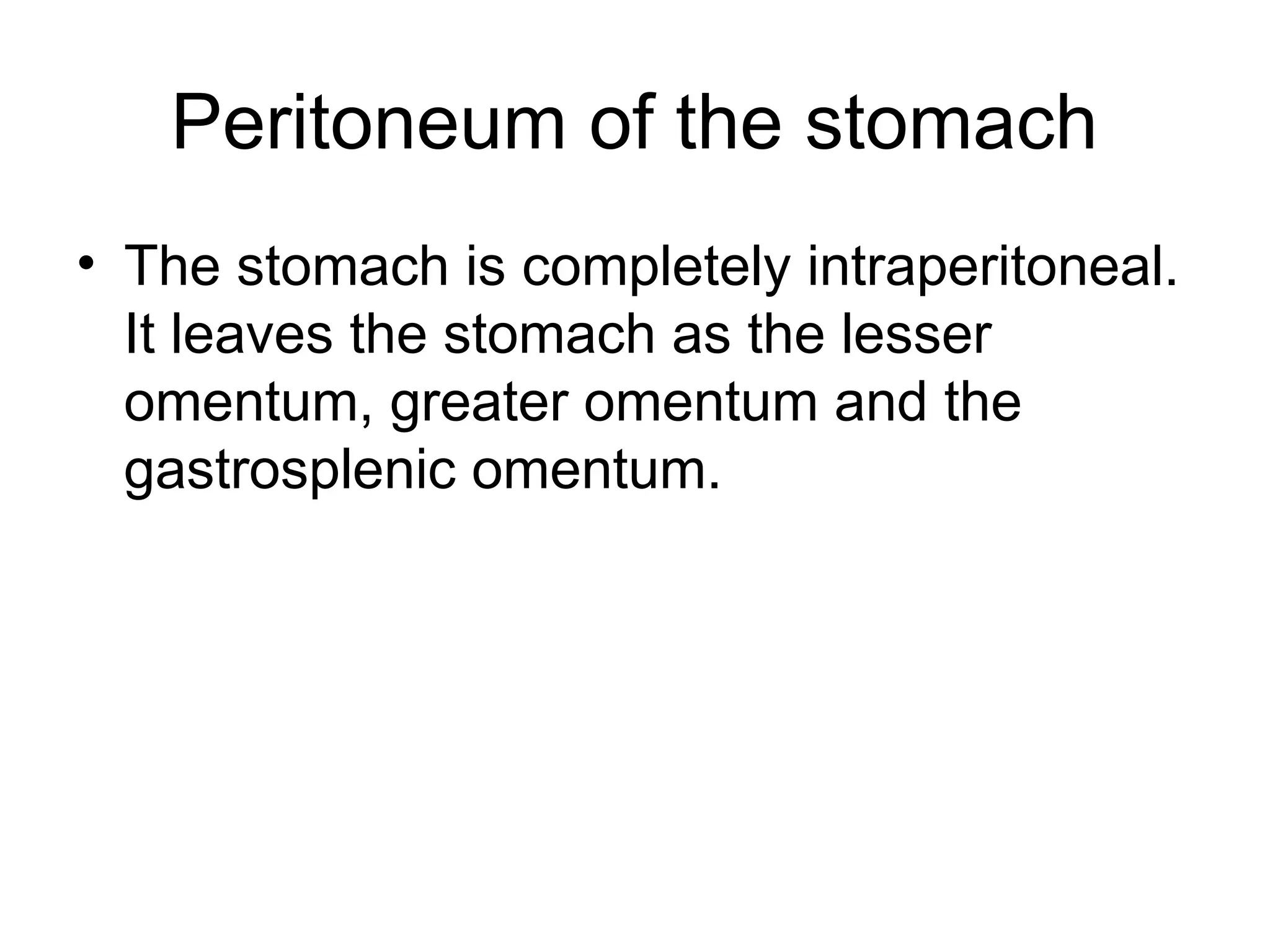 Peritoneum of the stomach
• The stomach is completely intraperitoneal.
It leaves the stomach as the lesser
omentum, greater omentum and the
gastrosplenic omentum.
 