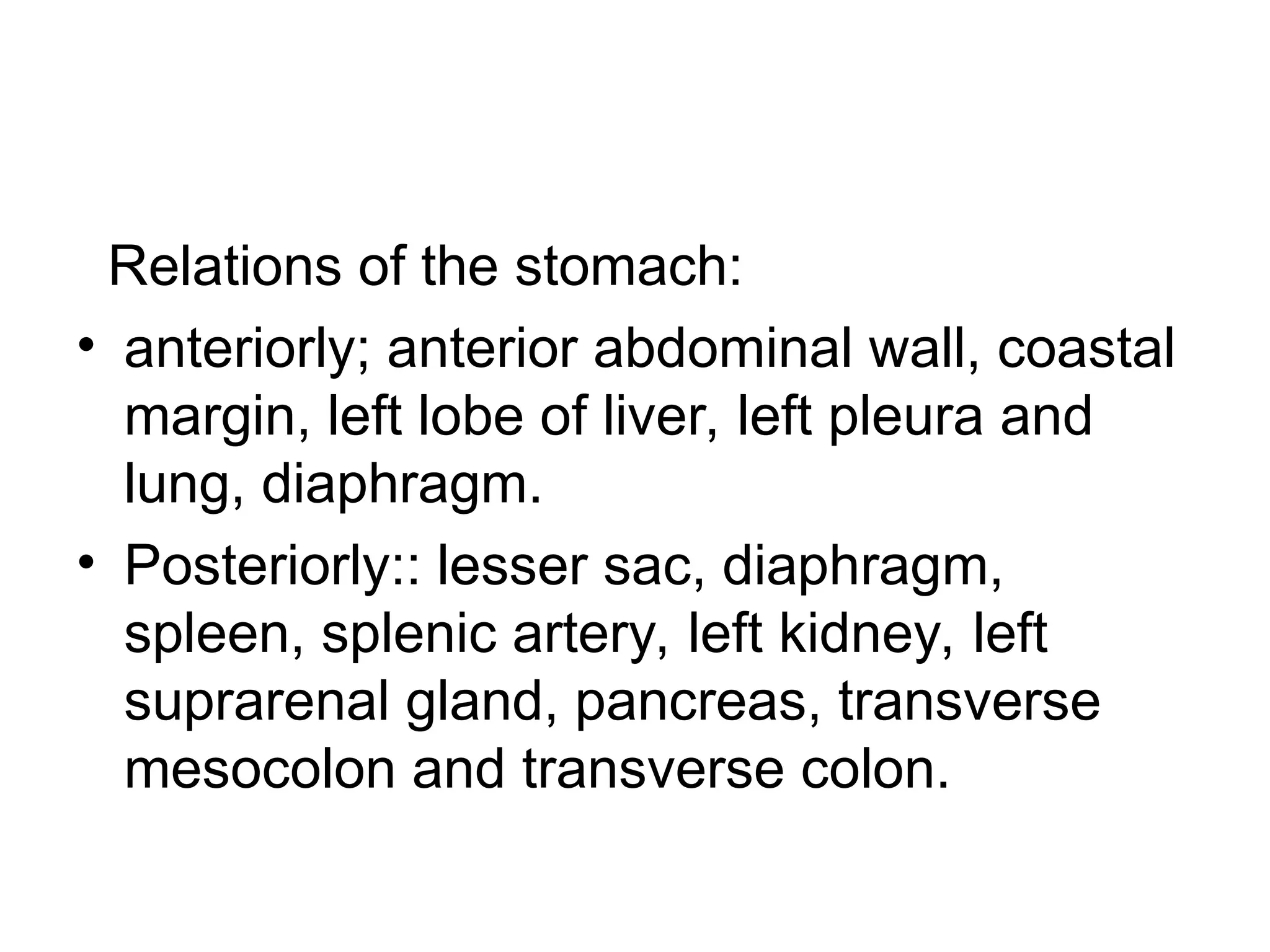 Relations of the stomach:
• anteriorly; anterior abdominal wall, coastal
margin, left lobe of liver, left pleura and
lung, diaphragm.
• Posteriorly:: lesser sac, diaphragm,
spleen, splenic artery, left kidney, left
suprarenal gland, pancreas, transverse
mesocolon and transverse colon.
 