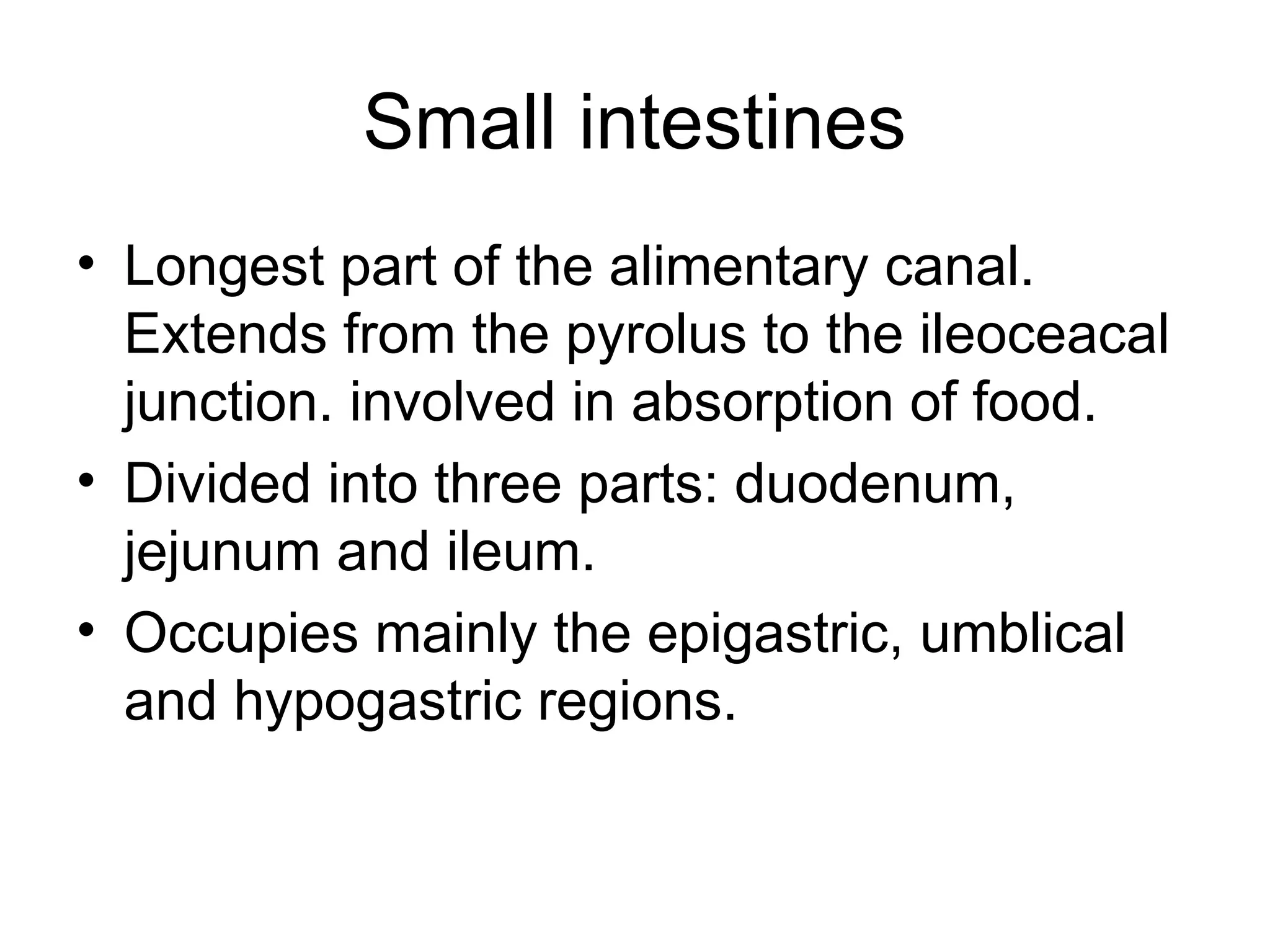 Small intestines
• Longest part of the alimentary canal.
Extends from the pyrolus to the ileoceacal
junction. involved in absorption of food.
• Divided into three parts: duodenum,
jejunum and ileum.
• Occupies mainly the epigastric, umblical
and hypogastric regions.
 