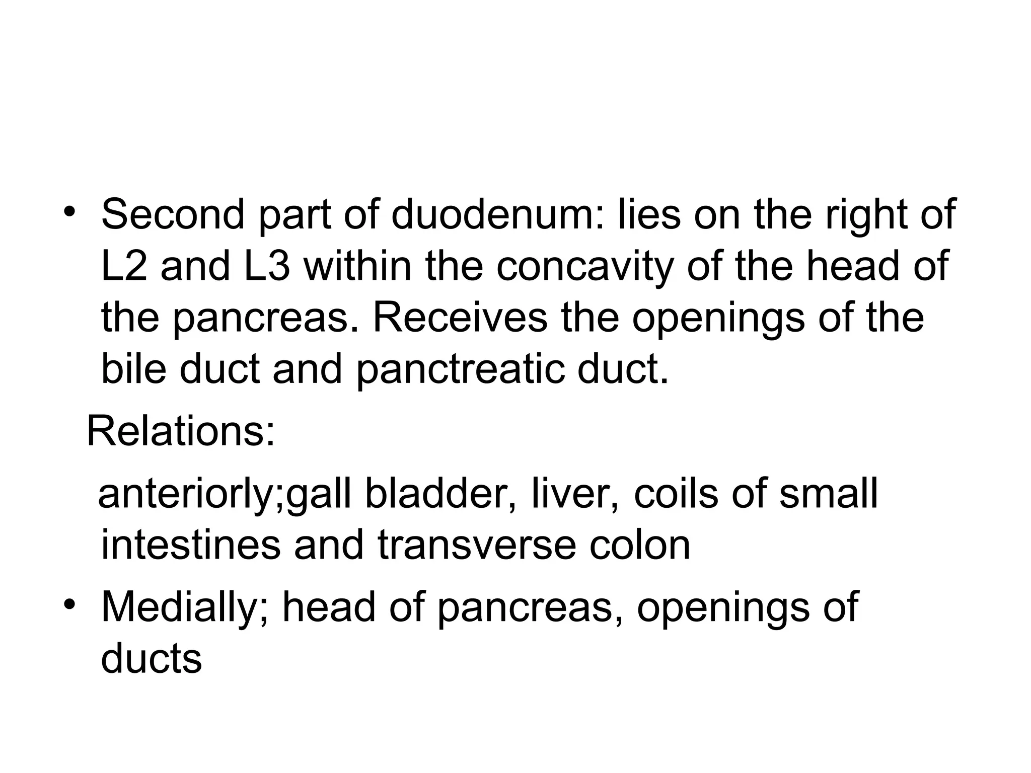 • Second part of duodenum: lies on the right of
L2 and L3 within the concavity of the head of
the pancreas. Receives the openings of the
bile duct and panctreatic duct.
Relations:
anteriorly;gall bladder, liver, coils of small
intestines and transverse colon
• Medially; head of pancreas, openings of
ducts
 