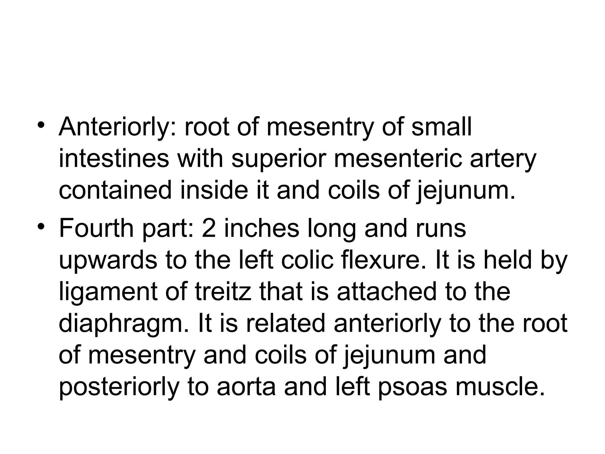 • Anteriorly: root of mesentry of small
intestines with superior mesenteric artery
contained inside it and coils of jejunum.
• Fourth part: 2 inches long and runs
upwards to the left colic flexure. It is held by
ligament of treitz that is attached to the
diaphragm. It is related anteriorly to the root
of mesentry and coils of jejunum and
posteriorly to aorta and left psoas muscle.
 