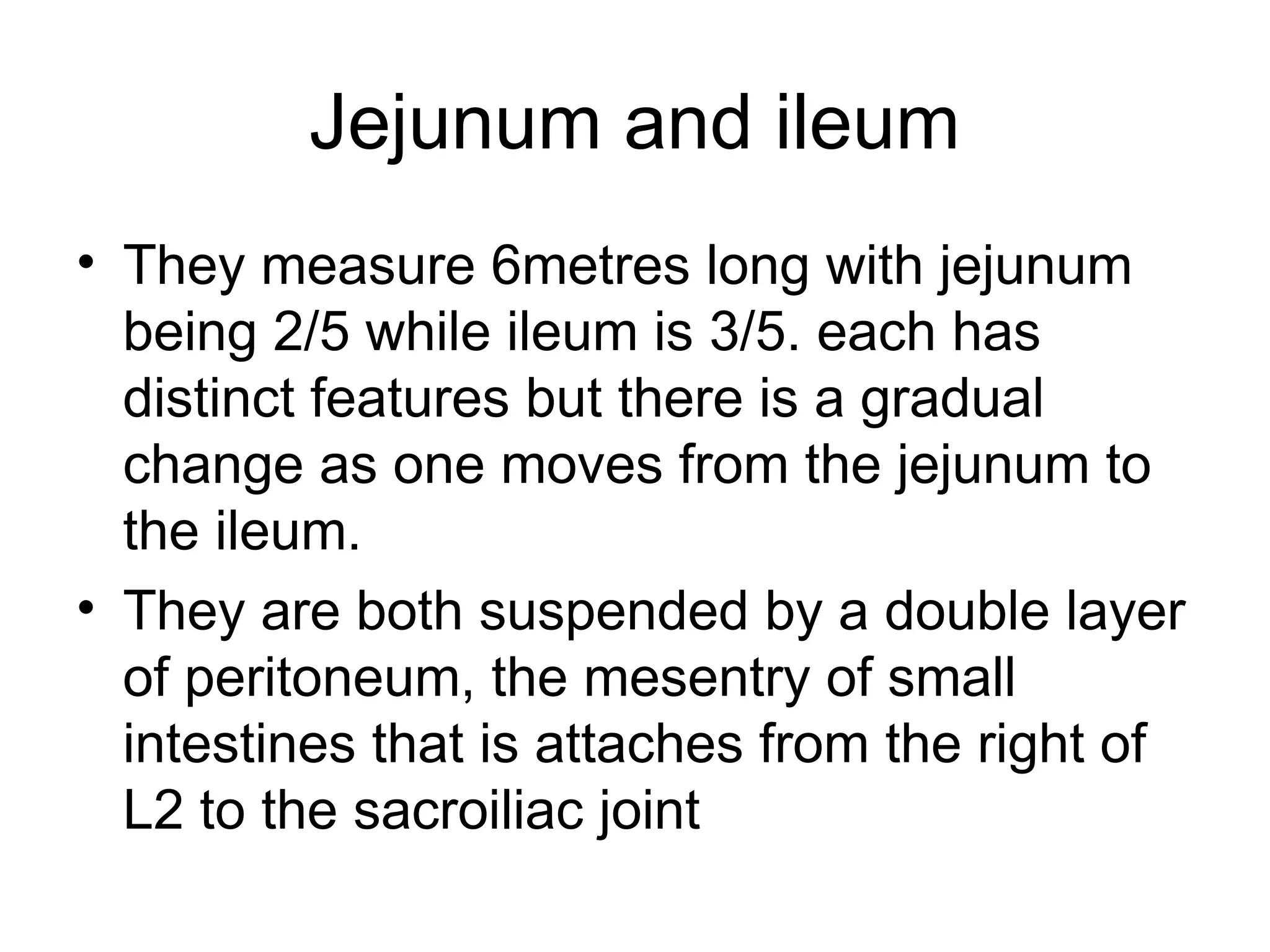 Jejunum and ileum
• They measure 6metres long with jejunum
being 2/5 while ileum is 3/5. each has
distinct features but there is a gradual
change as one moves from the jejunum to
the ileum.
• They are both suspended by a double layer
of peritoneum, the mesentry of small
intestines that is attaches from the right of
L2 to the sacroiliac joint
 
