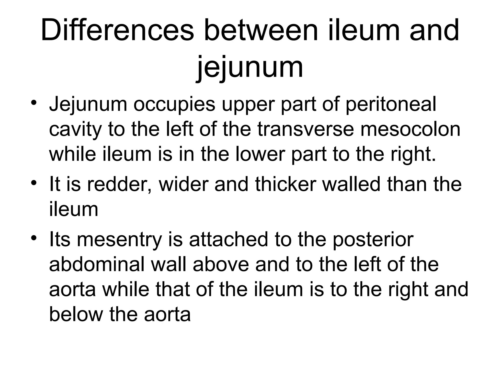 Differences between ileum and
jejunum
• Jejunum occupies upper part of peritoneal
cavity to the left of the transverse mesocolon
while ileum is in the lower part to the right.
• It is redder, wider and thicker walled than the
ileum
• Its mesentry is attached to the posterior
abdominal wall above and to the left of the
aorta while that of the ileum is to the right and
below the aorta
 